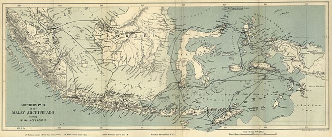 The Mysterious Ali of the ‘Malay Archipelago’