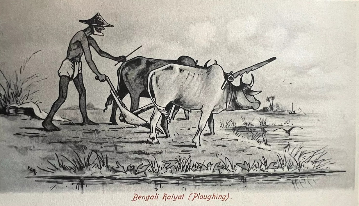 Petitions: Transregional Lives vs. Colonial Categories
